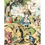 Alice in Wonderland – Paper Book
